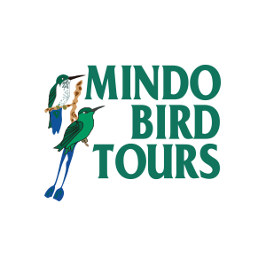 Mido Bird Tours